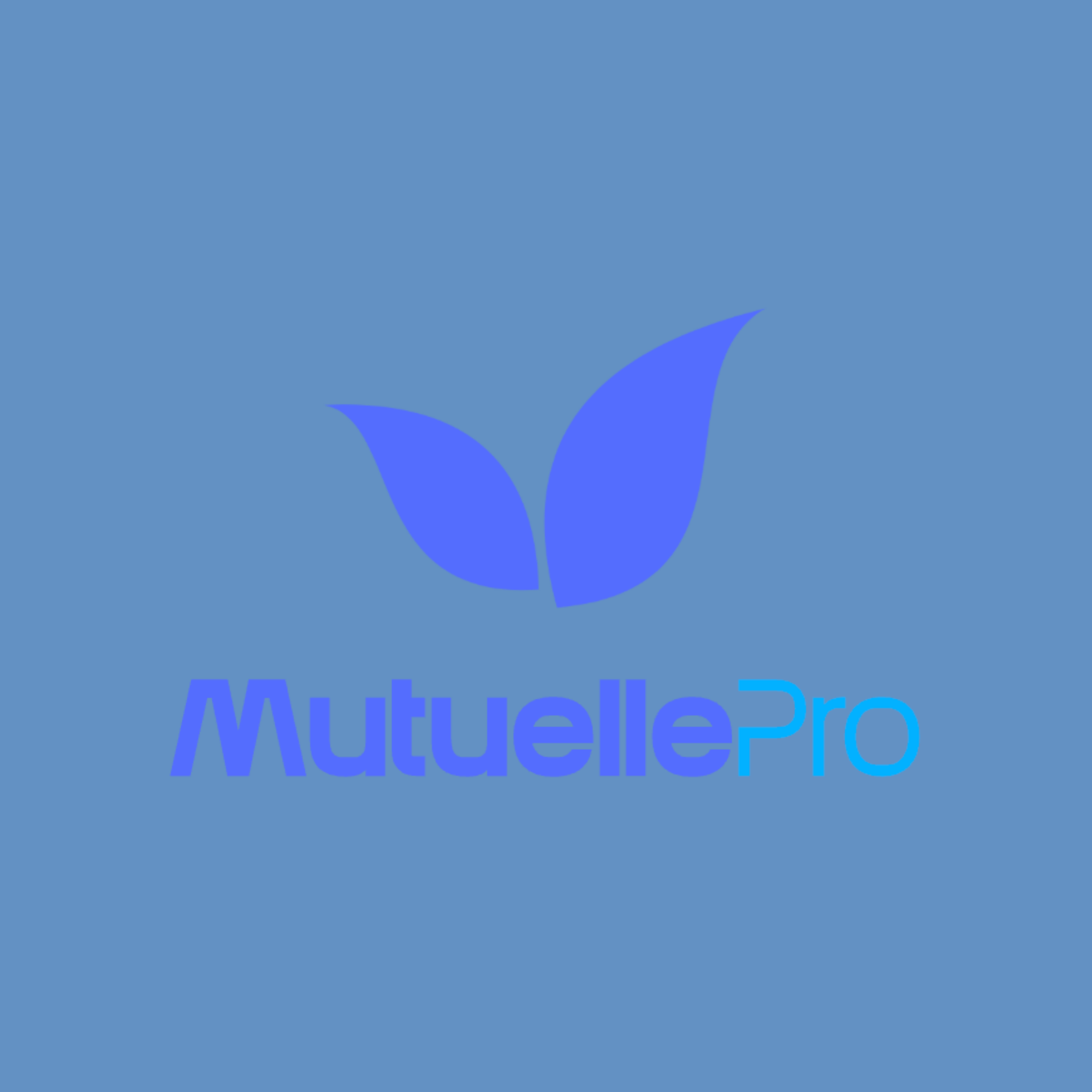 Mutuelle Obligatoire Pro